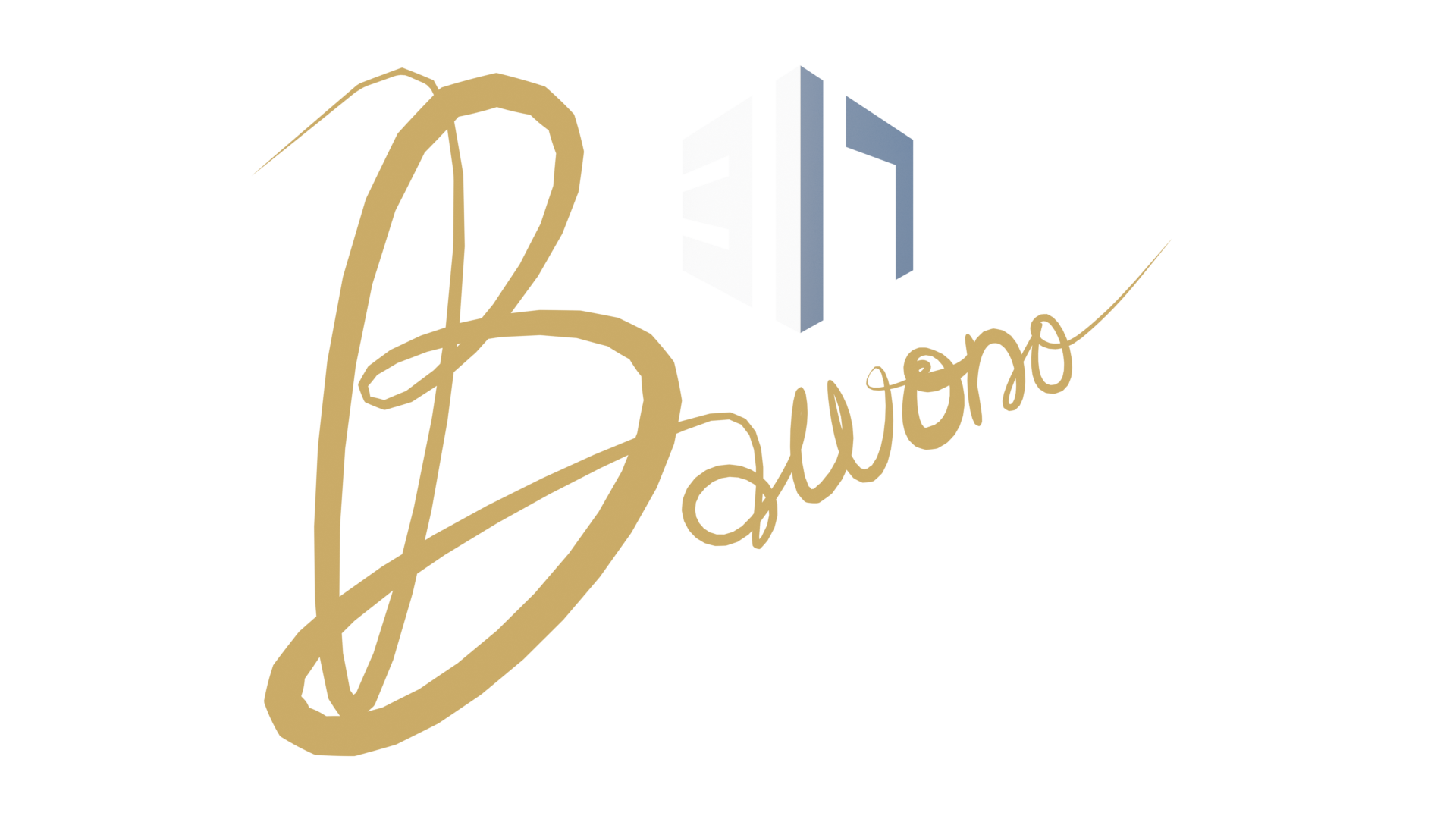 Bawono-317 3D Services
